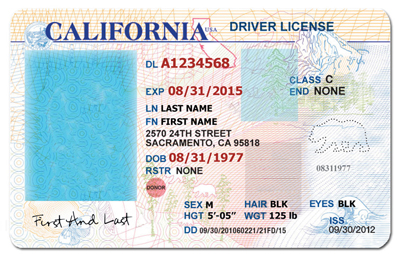 blank ontario drivers license template